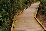 Financial Help for Family Caregivers